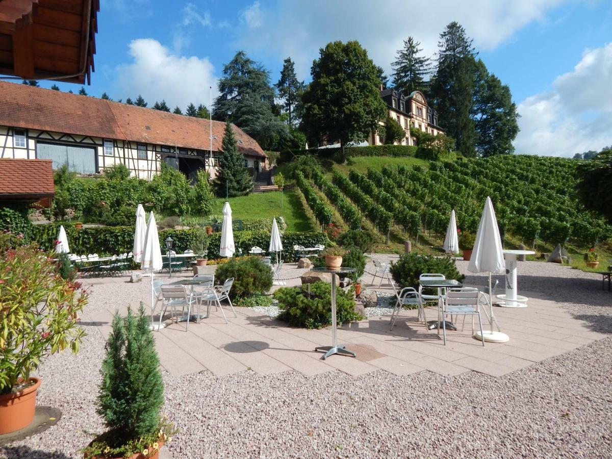 Wein Lodge Durbach - Josephsberg 2 Dış mekan fotoğraf