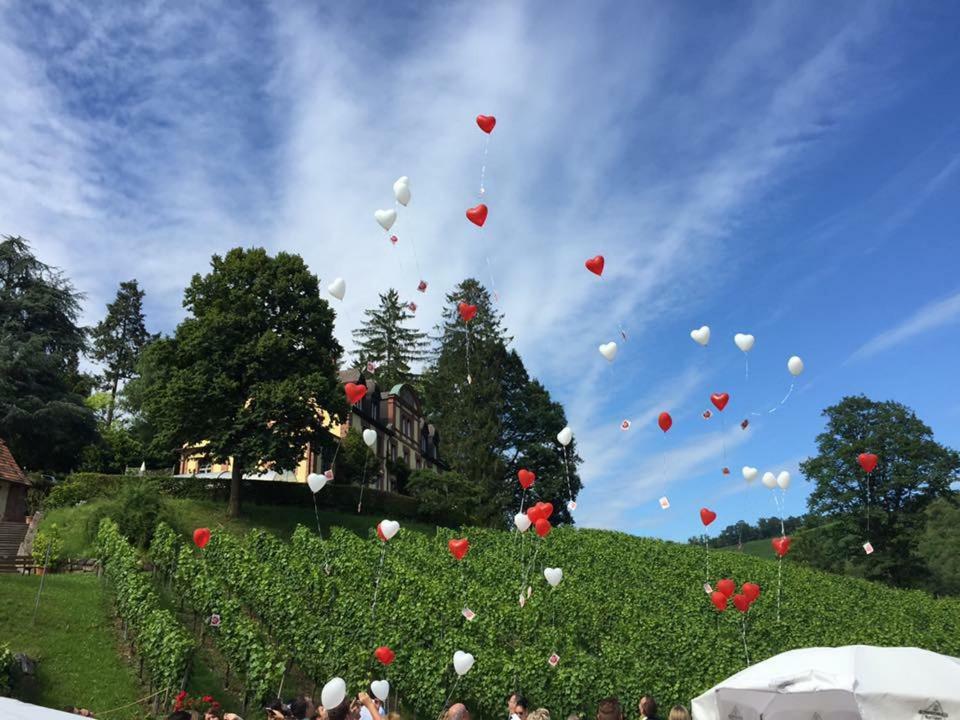 Wein Lodge Durbach - Josephsberg 2 Dış mekan fotoğraf
