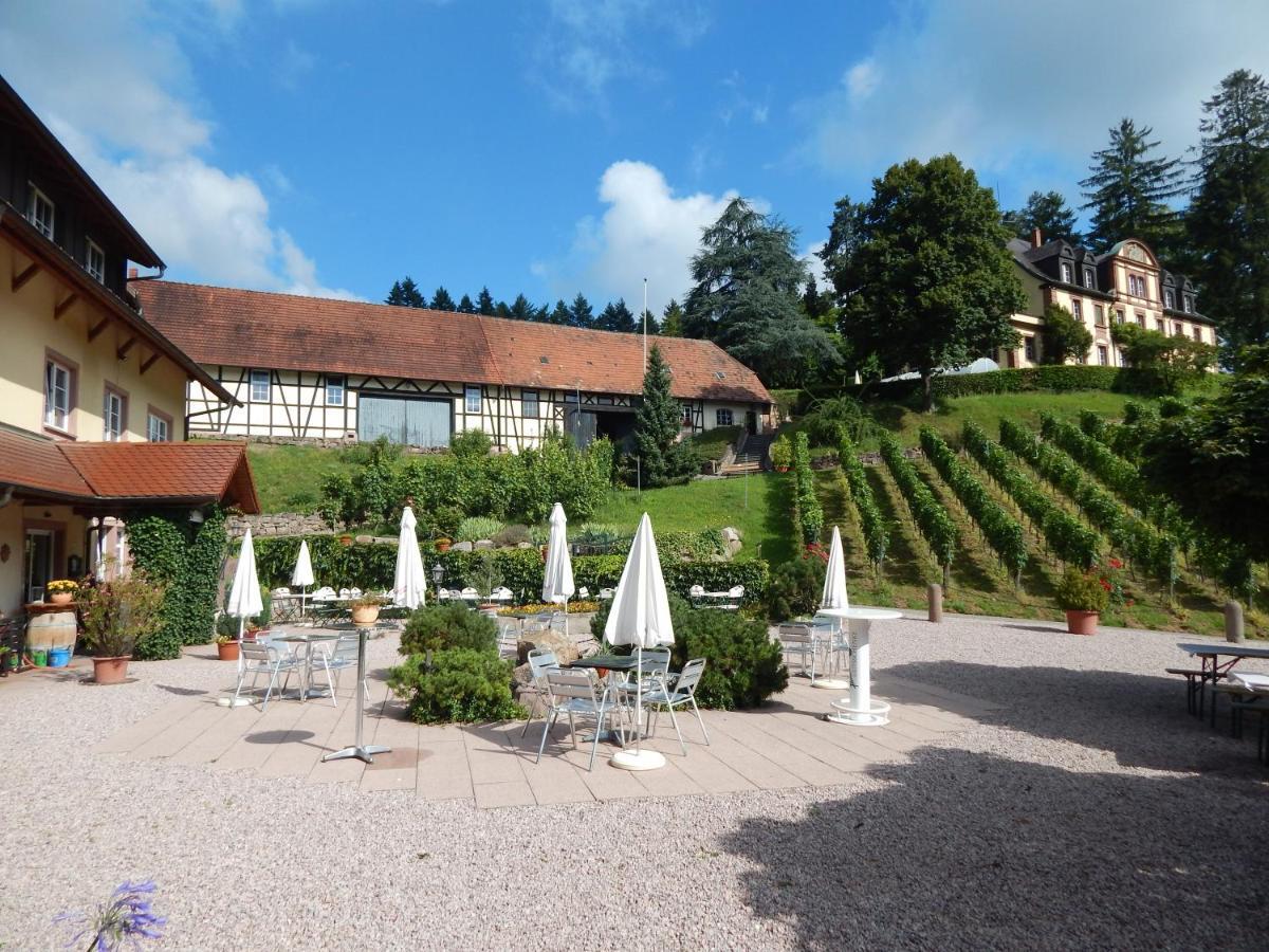 Wein Lodge Durbach - Josephsberg 2 Dış mekan fotoğraf